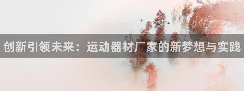 凯捷体育平台是正规平台吗安全吗：创新引领未来：运动器