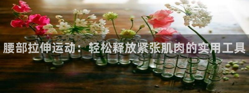 凯捷体育娱乐代理怎么样：腰部拉伸运动：轻松释放紧张肌