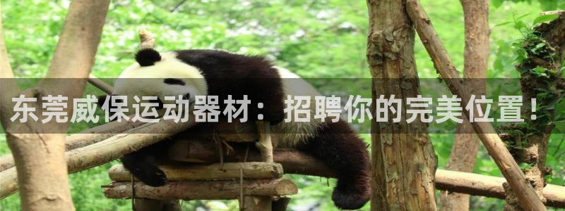 凯捷体育招商电话号码是多少：东莞威保运动器材：招聘你