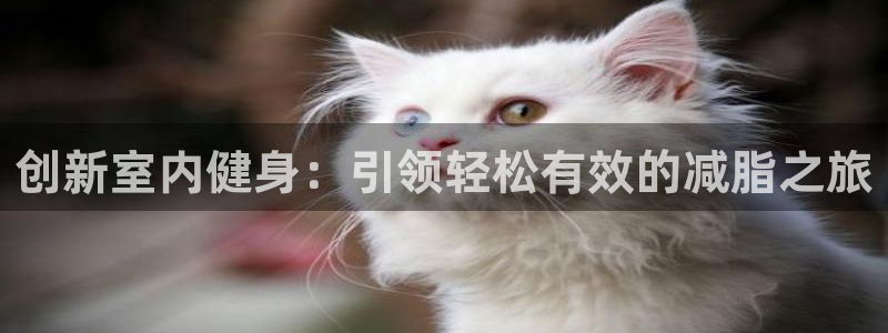 意昂平台体育：创新室内健身：引领轻松有效的减脂之旅