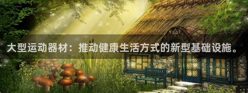 凯捷体育平台是正规平台吗安全吗：大型运动器材：推动健