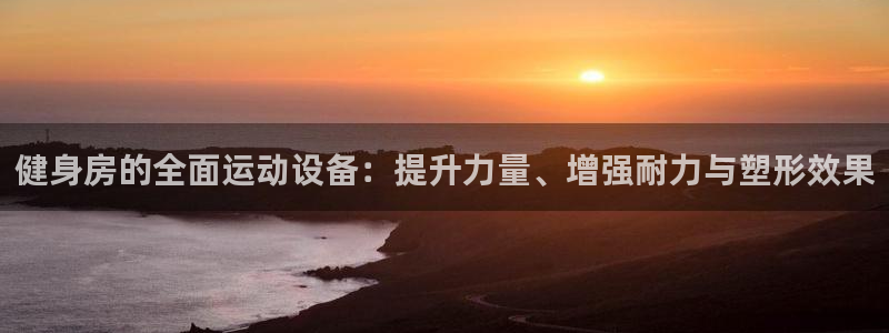 意昂平台体育：健身房的全面运动设备：提升力量、增强耐