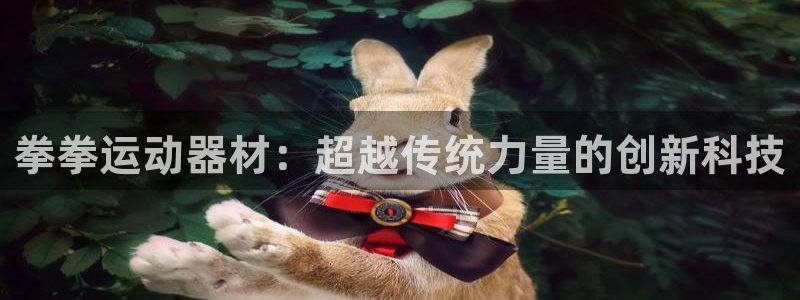 凯捷体育平台注册流程视频：拳拳运动器材：超越传统力量的创新科