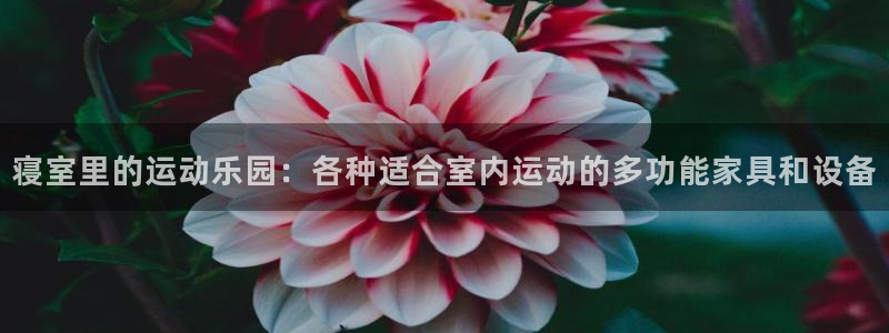 凯捷体育娱乐平台
