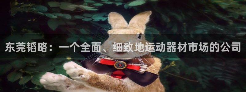 意昂集团官网：东莞韬略：一个全面、细致地运动器材市场的公司
