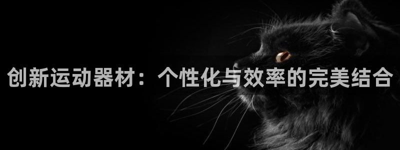 凯捷体育新能源：创新运动器材：个性化与效率的完美结合