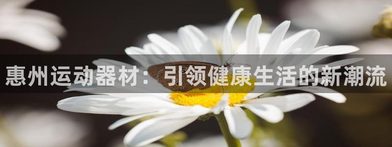 凯捷体育官方客服电话：惠州运动器材：引领健康生活的新