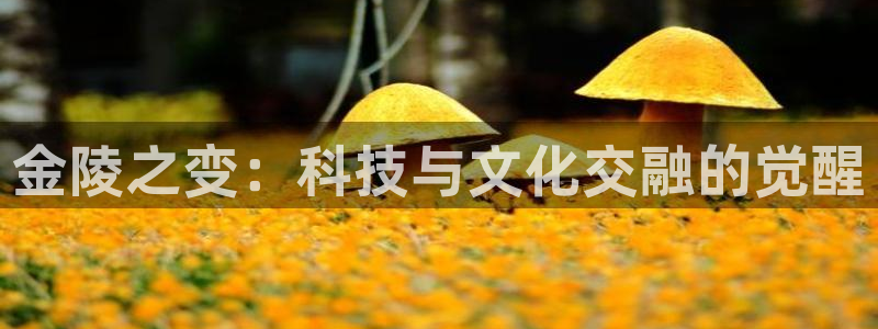 凯捷体育平台注册要钱吗安全吗：金陵之变：科技与文化交