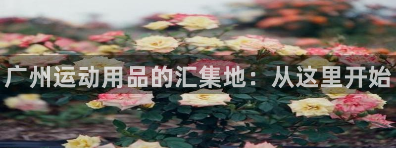 凯捷体育招商电话是多少