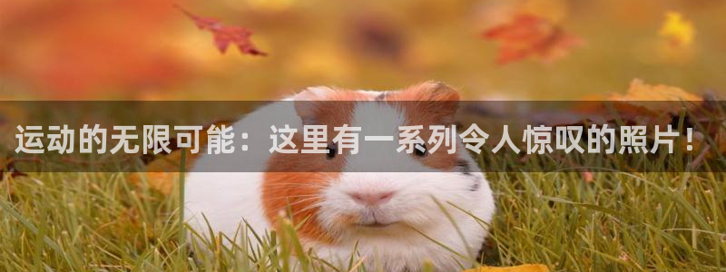 凯捷体育注册：运动的无限可能：这里有一系列令人惊叹的照片！