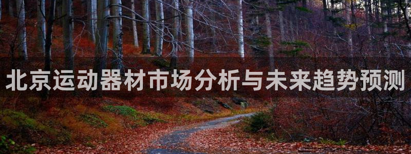 凯捷体育注册：北京运动器材市场分析与未来趋势预测