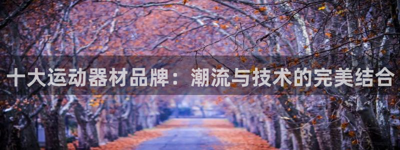 凯捷体育平台：十大运动器材品牌：潮流与技术的完美结合