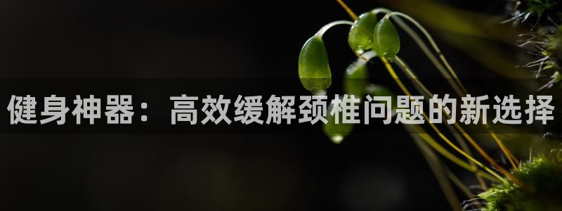 凯捷体育集团官网首页：健身神器：高效缓解颈椎问题的新