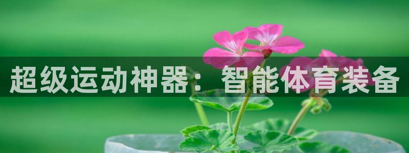 凯捷体育娱乐首页网站大全：超级运动神器：智能体育装备