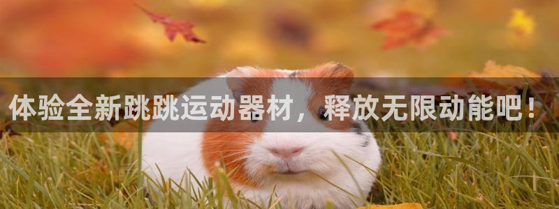 凯捷体育集团E.ON：体验全新跳跳运动器材，释放无限