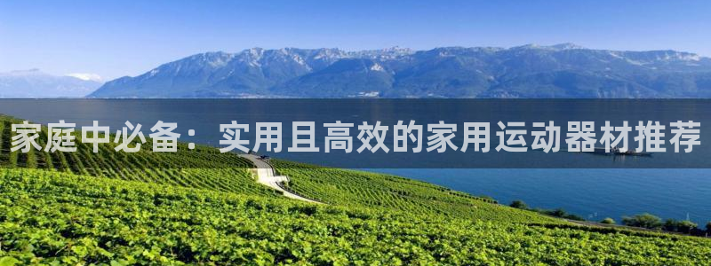 意昂平台体育：家庭中必备：实用且高效的家用运动器材推