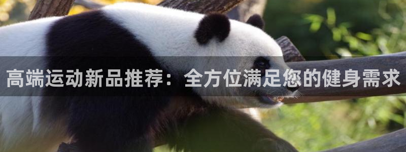 凯捷体育平台注册要钱吗：高端运动新品推荐：全方位满足