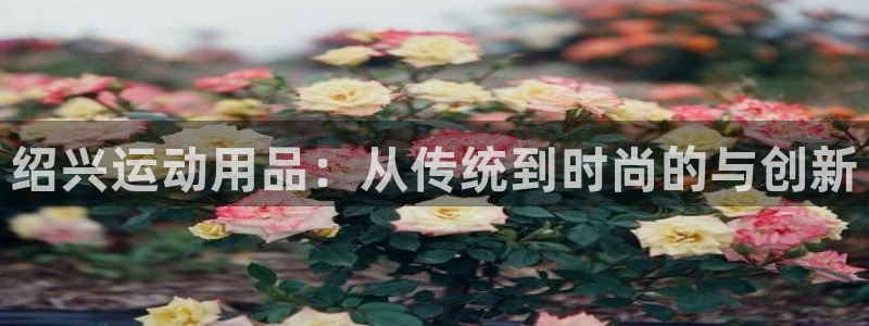 凯捷体育集团logo：绍兴运动用品：从传统到时尚的与