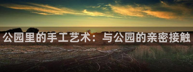 意昂平台体育：公园里的手工艺术：与公园的亲密接触