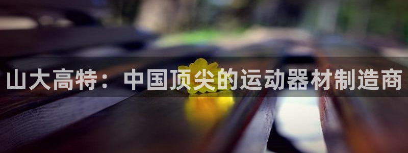 凯捷体育平台APP：山大高特：中国顶尖的运动器材制造