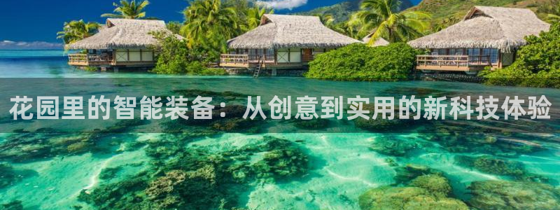 凯捷体育官方客服电话