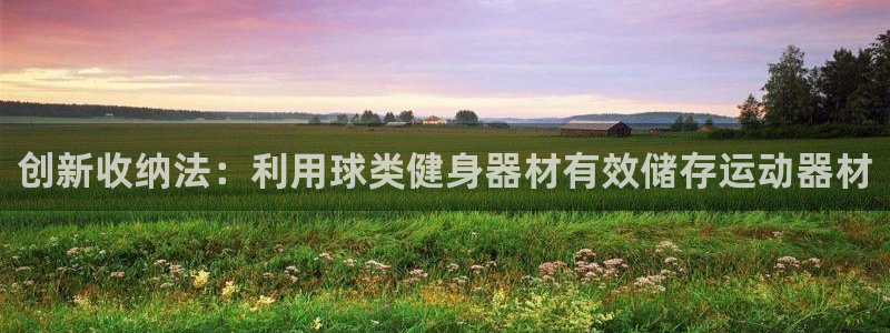 凯捷体育娱乐下载：创新收纳法：利用球类健身器材有效储