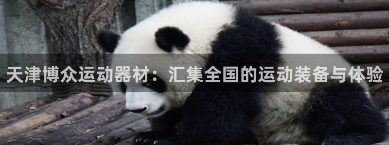 凯捷体育注册：天津博众运动器材：汇集全国的运动装备与