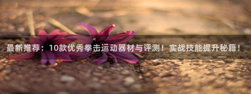 注册凯捷体育：最新推荐：10款优秀拳击运动器材与评测