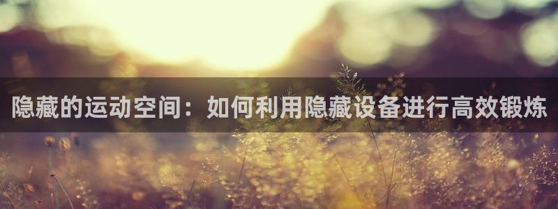 凯捷体育平台注册要钱吗安全吗：隐藏的运动空间：如何利用隐藏设