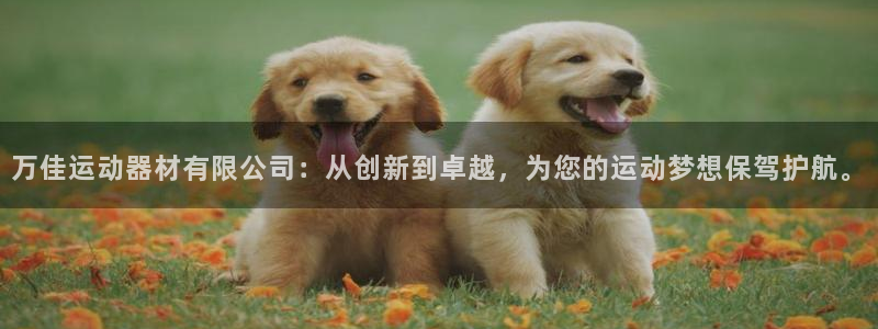 凯捷体育娱乐首页网站大全：万佳运动器材有限公司：从创新到卓越