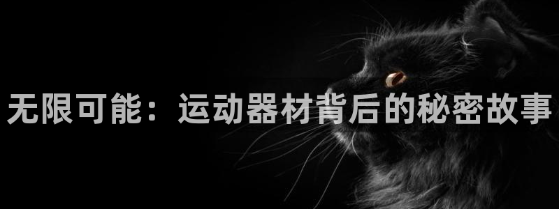 凯捷体育平台注册：无限可能：运动器材背后的秘密故事