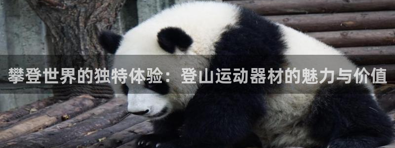 凯捷体育官方客服电话