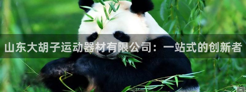 凯捷体育平台注册流程图：山东大胡子运动器材有限公司：
