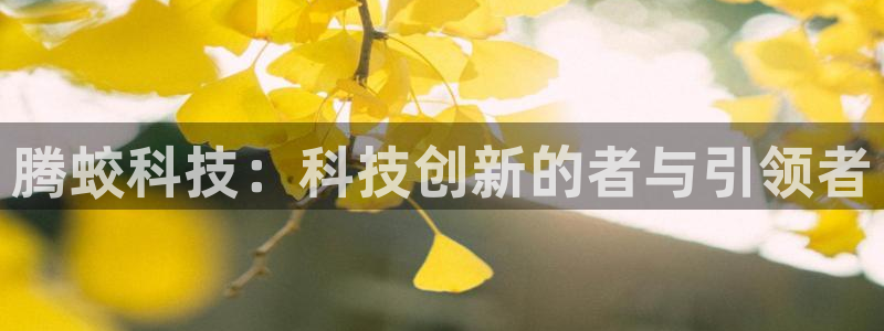 凯捷体育五金厂：腾蛟科技：科技创新的者与引领者