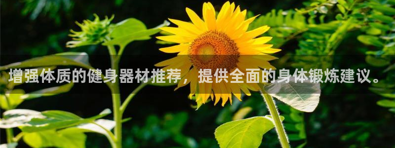 凯捷体育软件：增强体质的健身器材推荐，提供全面的身体
