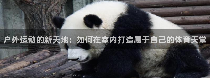 凯捷体育新能源