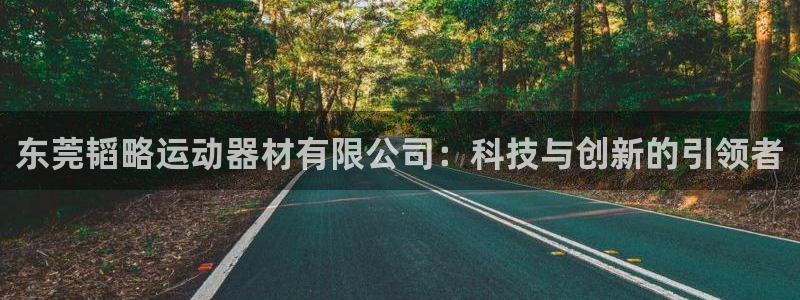 凯捷体育五金厂：东莞韬略运动器材有限公司：科技与创新的引领者