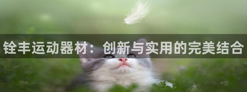 凯捷体育集团logo：铨丰运动器材：创新与实用的完美结合