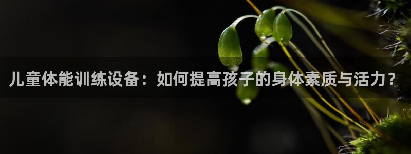 凯捷体育集团logo